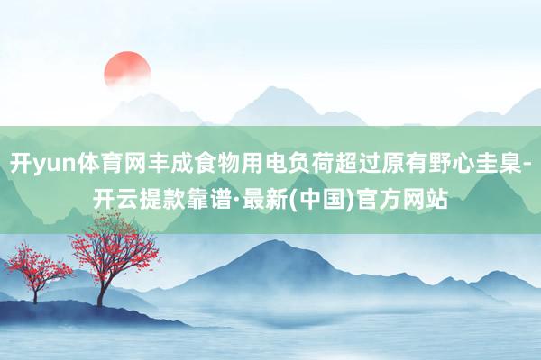 开yun体育网丰成食物用电负荷超过原有野心圭臬-开云提款靠谱·最新(中国)官方网站